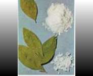 Law enforcement agencies and the battle on narcotics